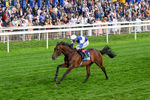 210826-Race 6-Benjamin Hornigold-0386