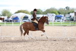 SBM_17529