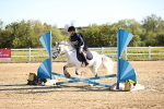 SBM_000167