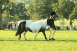 SBM_57285