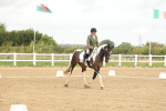 SBM_008651
