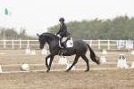 SBM_004008