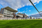 Race 6 4.20pm William Hill EBF Novice Stakes portfolio