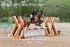BPP_6999