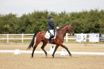 SBM_003541