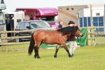 SBM_00420