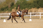 SBM_009613