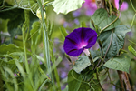IMG_7262 - Version 2