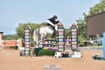 Cls 9 Foxhunter portfolio