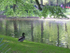 The Park