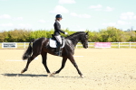 SBM_000220