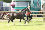 SBM_02432