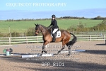 BPP_8101