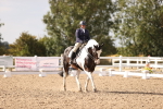 SBM_08085
