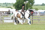 SBM_17655