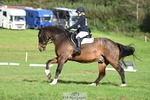 500-HARLYN.CONNOR-Kerryann.Dunstan-DR portfolio