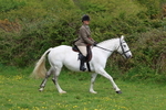 Ridden Championship portfolio