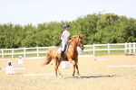 SBM_010191