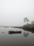 Serenity