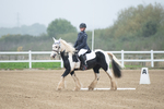 SBM_003374