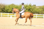 SBM_008438