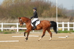 SBM_003394