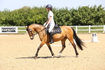 SBM_008535