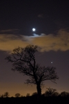 Venus, Mars and the Moon:46H