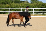 1X9A0497