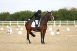 Class 13 - Novice 23 - 11.25-12.35 portfolio