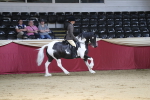 SBM_02926