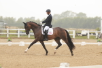 SBM_009991