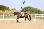 SBM_009386