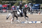 BPP_9025