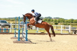 SBM_005622