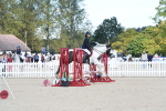 SBM_38828