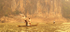 Fishing at dusk  _LO002