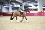 SBM_03619
