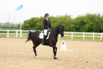 SBM_006913