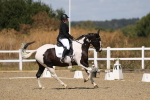SBM_013663