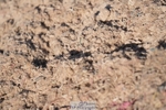 260423-170843-07775