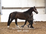 BPP_9783