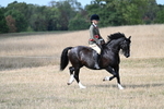 WJ7_7613