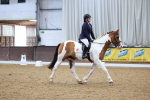 SBM_001582