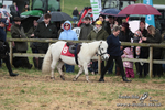 SHETPR 210425 48