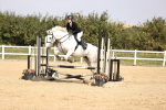 SBM_002257