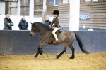 SBM_008951
