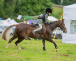 Dunblane show-23