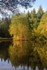 Autumn Reflected