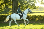 SBM_56405
